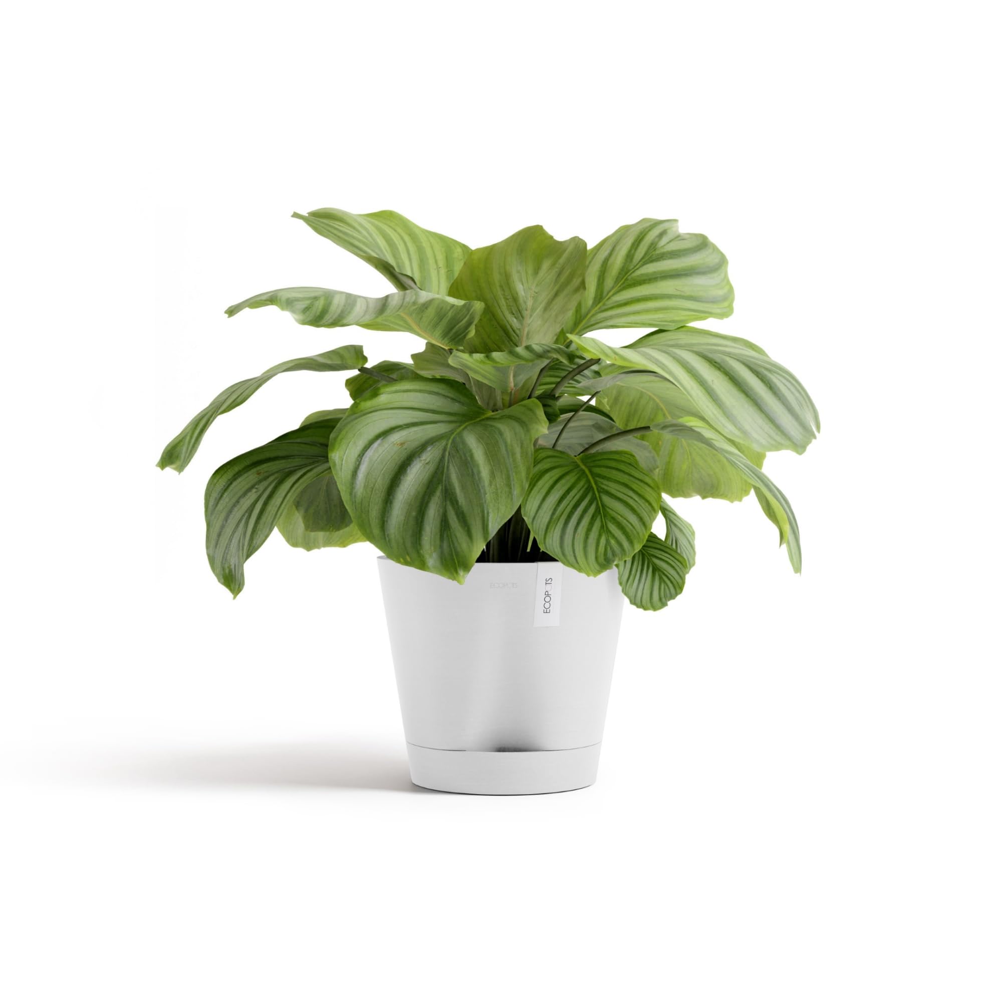 ecopots-venice-2-pot-rond-30-x-26-3-cm-pot-de-fleurs-avec-r-servoir-d-eau-blanc- image 3