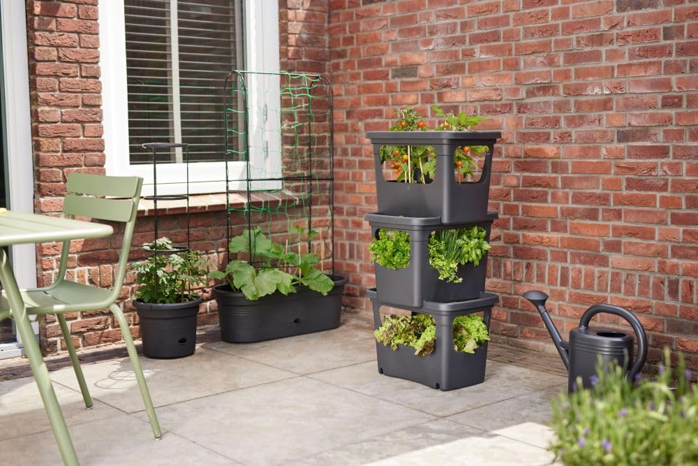 elho-green-basics-stack-grow-50-bac-de-culture-empiler-50-9-x-h-35-7-cm-living-n image 7