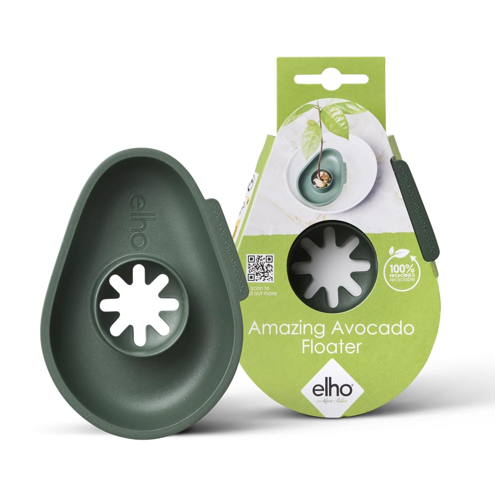 elho-amazing-avocado-floater-leaf-green-flotteur-germination-noyau-d-avocat image 2