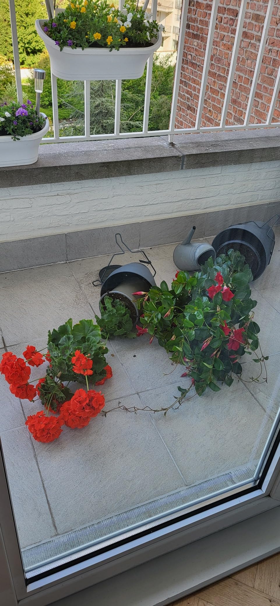 Enfin des pots qui ne bougent plus