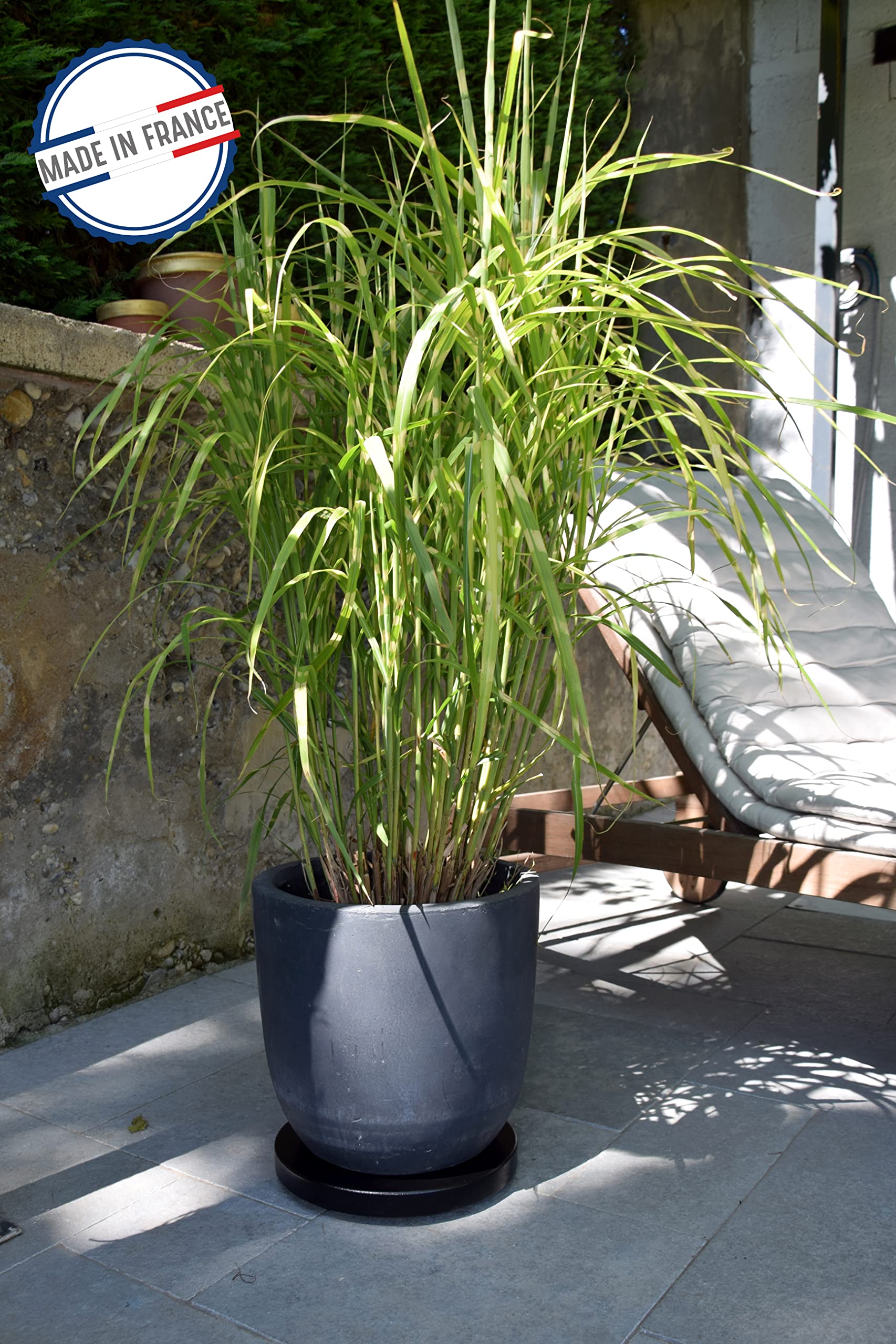 louis-moulin-roule-plante-contemporain-rond-d-30-cm-noir-support-roulettes-80-kg image 3