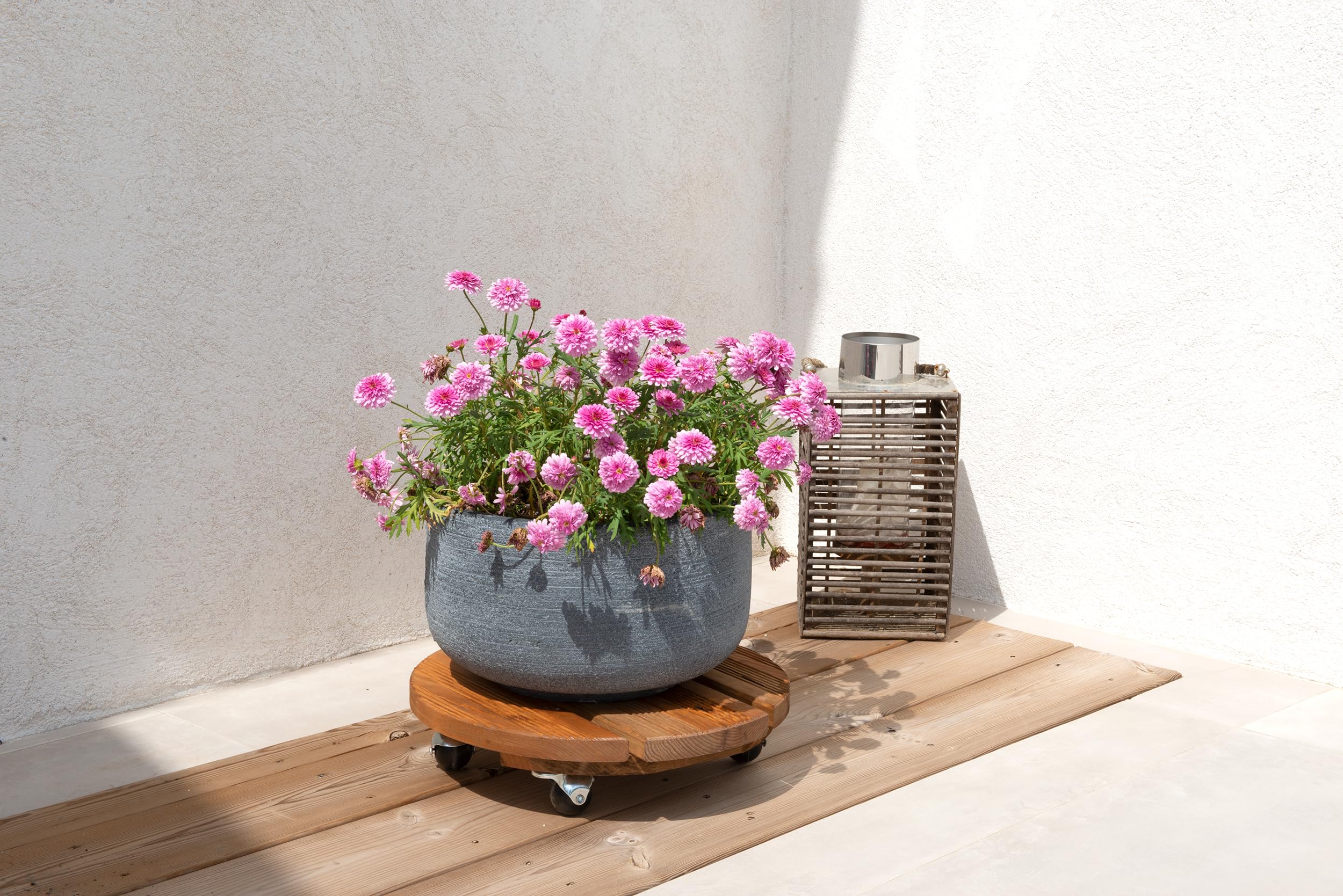 louis-moulin-roule-plante-bois-rond-37-5-cm-naturel image 2