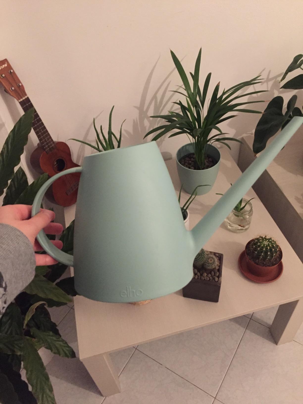 Mon préféré