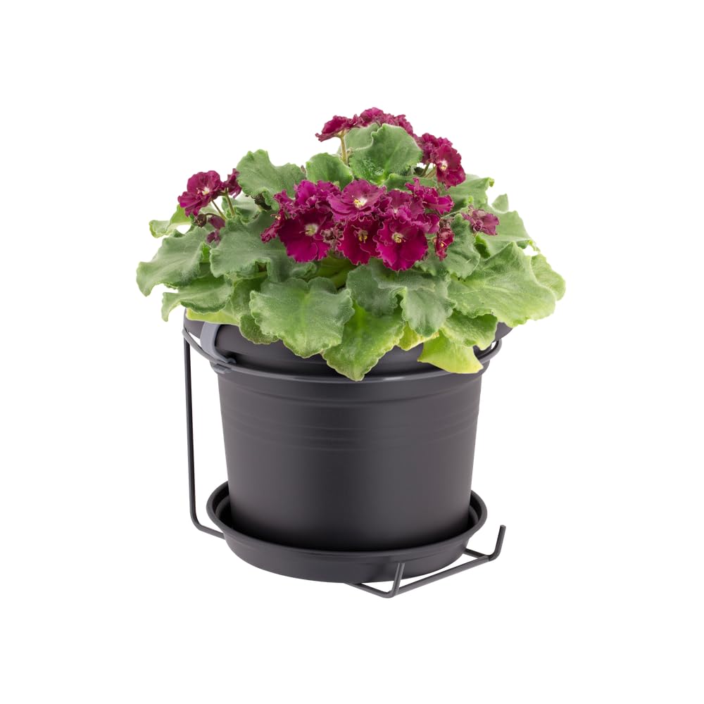 elho-green-basics-balconni-re-poth-allin1-noir-living-black-20-cm image 5