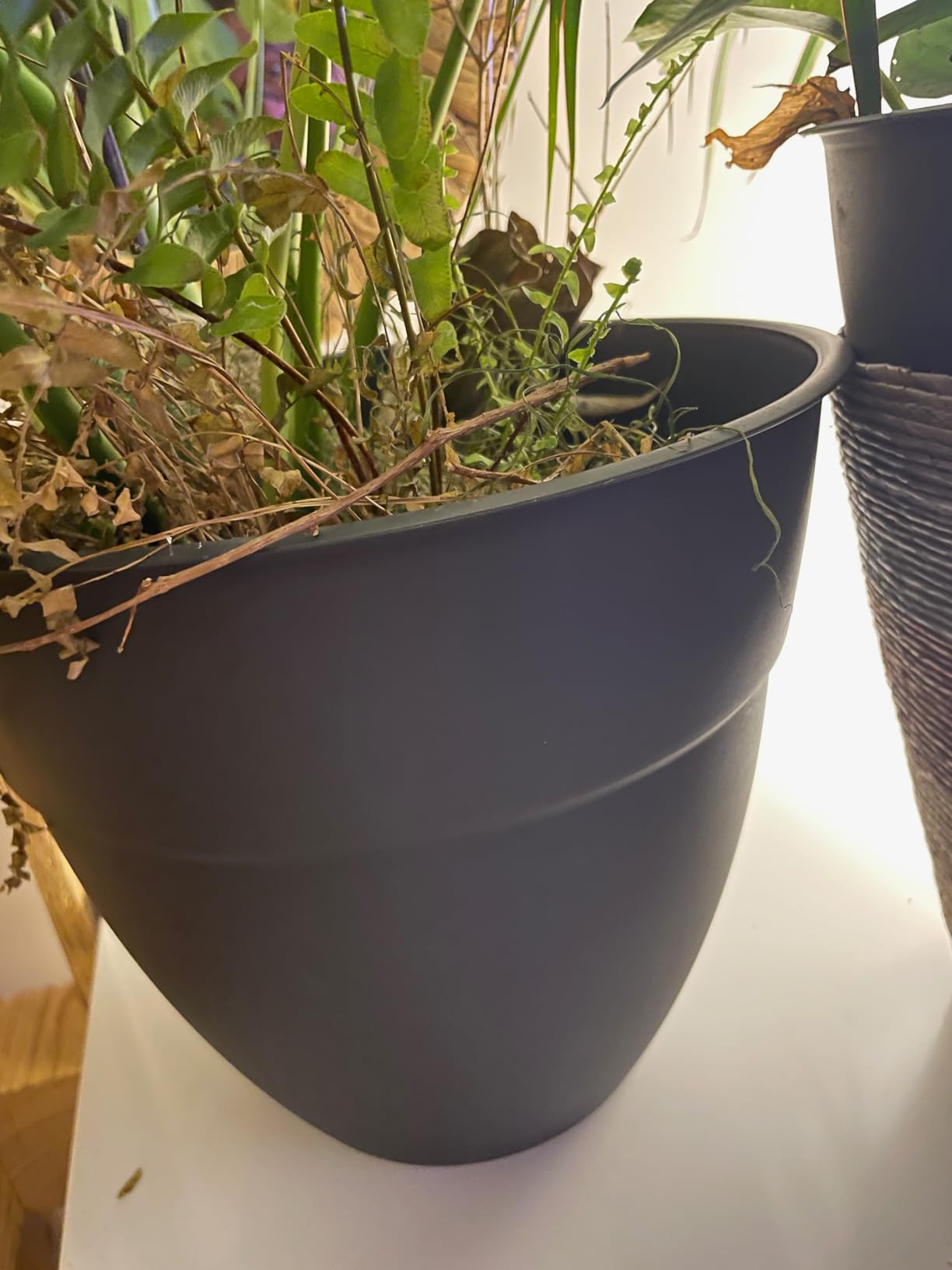 Très joli pot