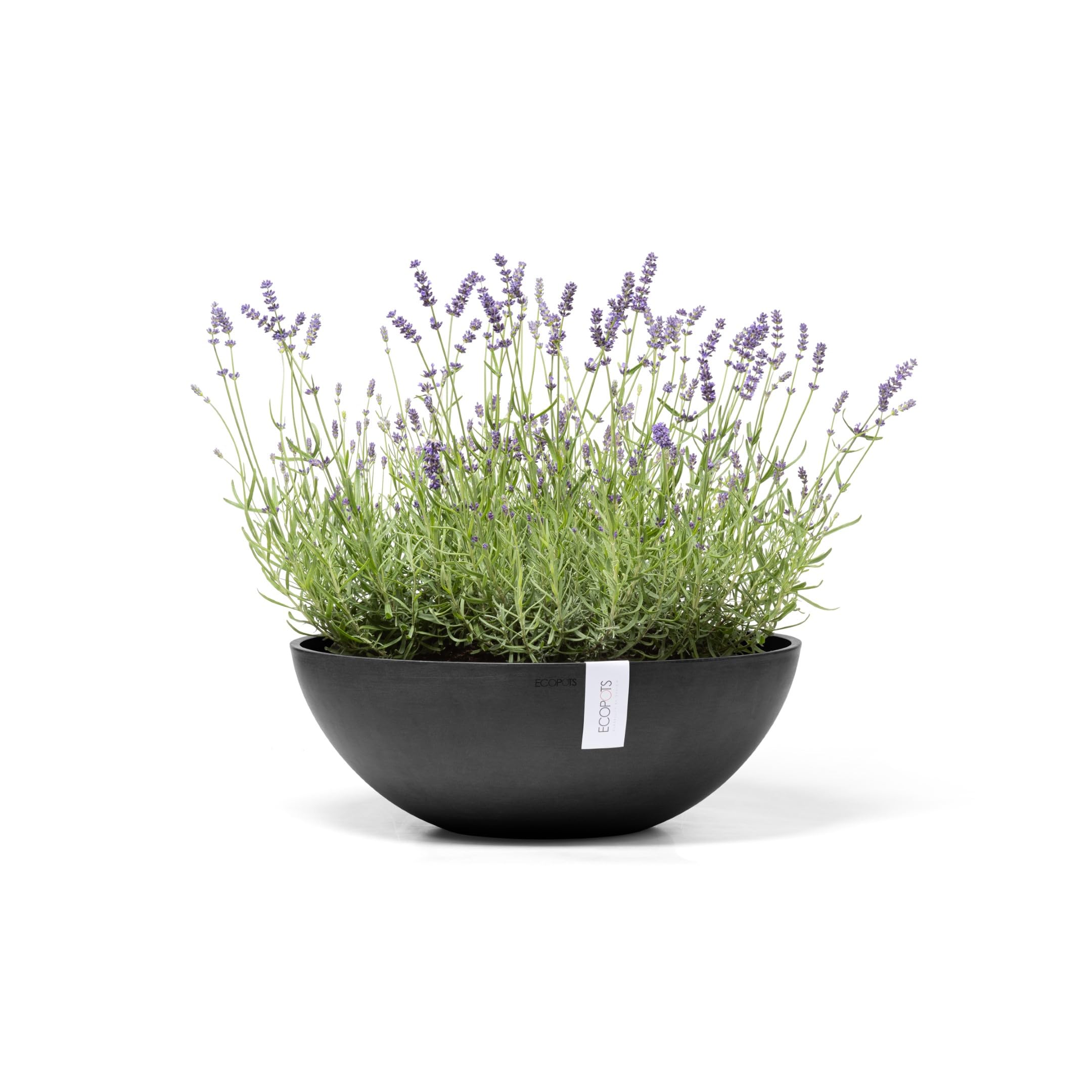 ecopots-vienna-50-rond-bas-gris-fonc-22-3-l image 2
