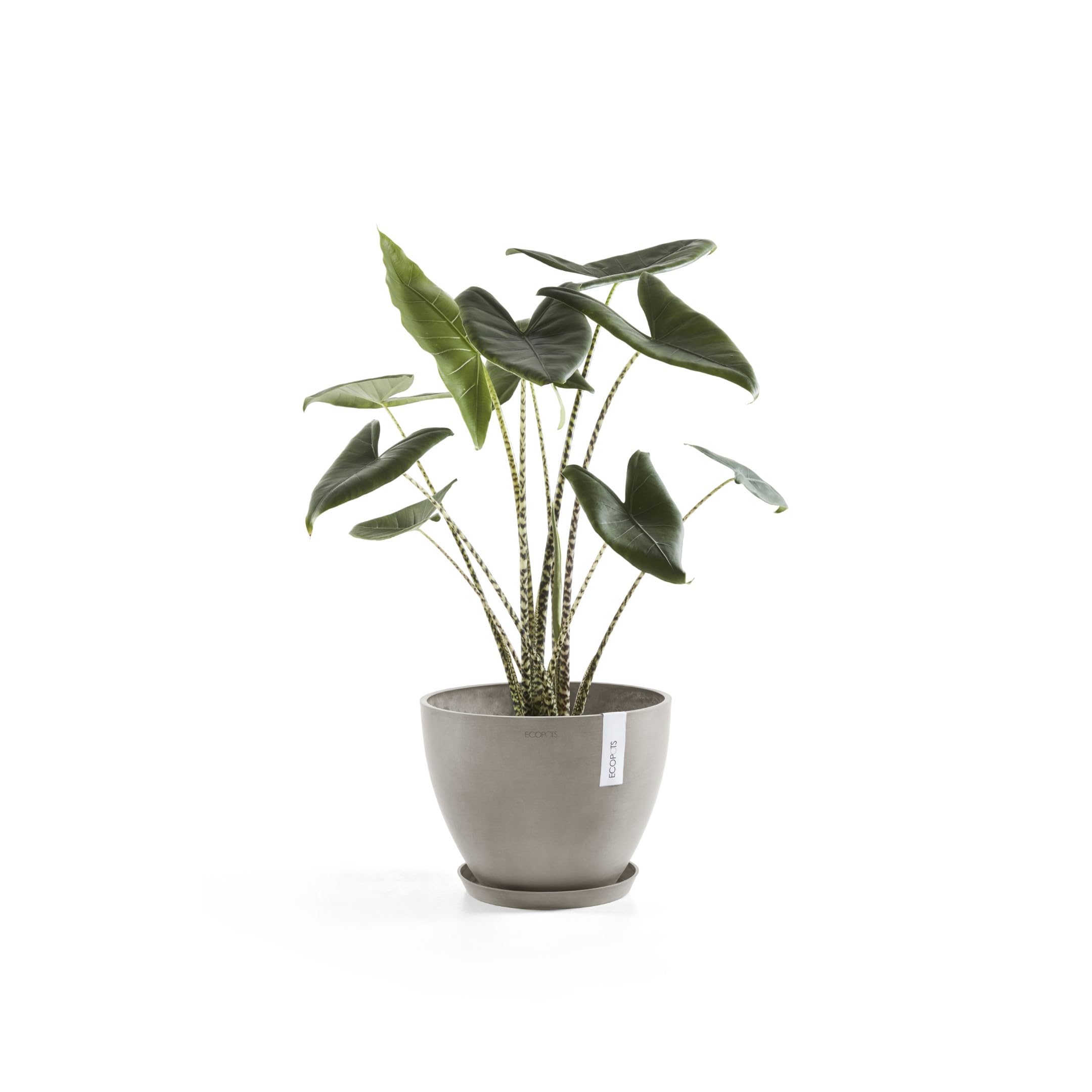 ecopots-antwerp-pot-rond-25-l-40-x-h-30-cm-taupe image 8