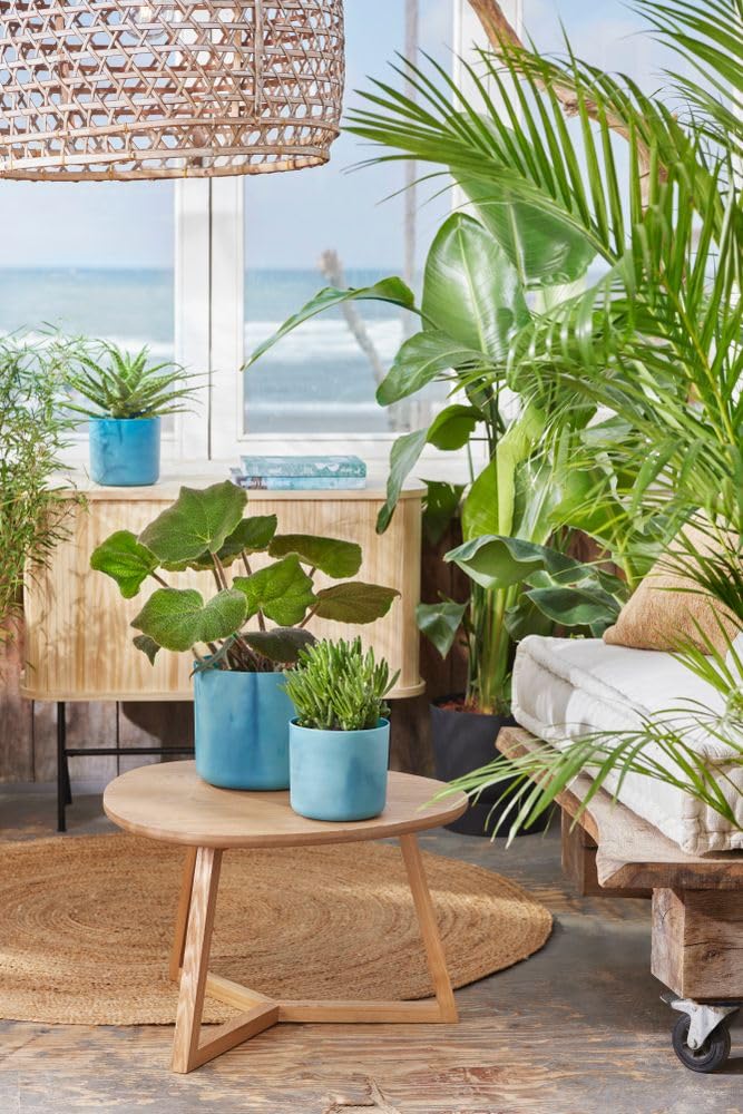 elho-the-ocean-collection-ronde-22cm-pot-bleu-atlantique-22-3-x-h-20-4-cm image 8