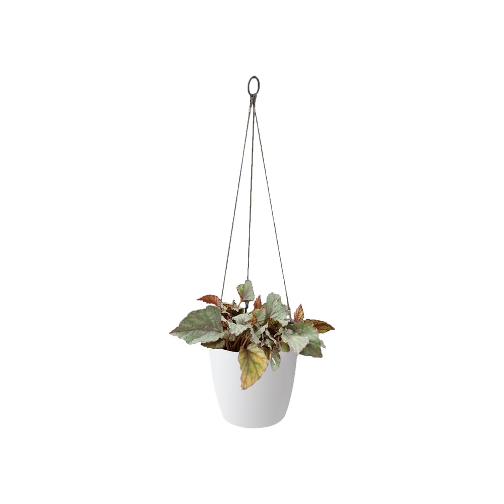 elho-brussels-suspension-18cm-pot-de-fleur-suspendu-blanc image 2