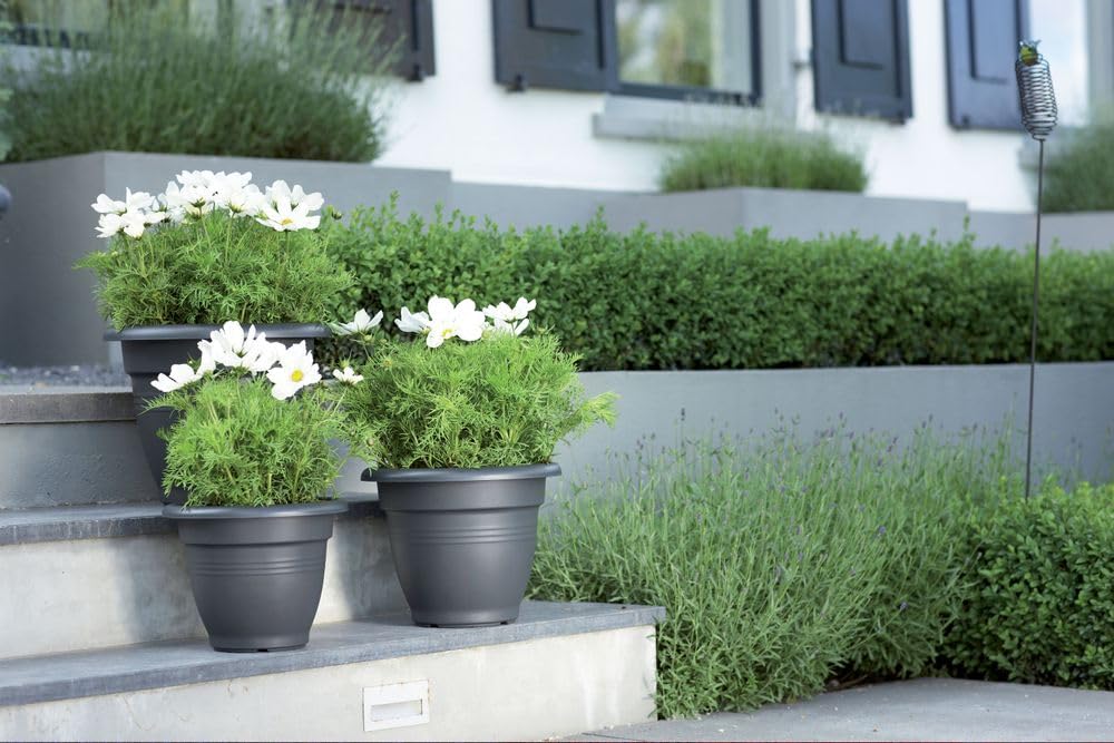 elho-green-basics-campana-pot-de-fleurs-30-cm-noir image 5
