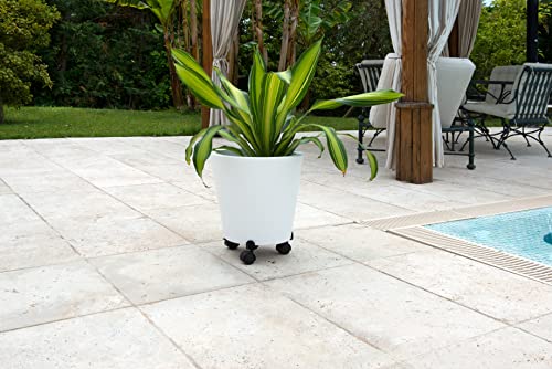 louis-moulin-basics-roule-plante-extensible-27-37-cm-noir image 5