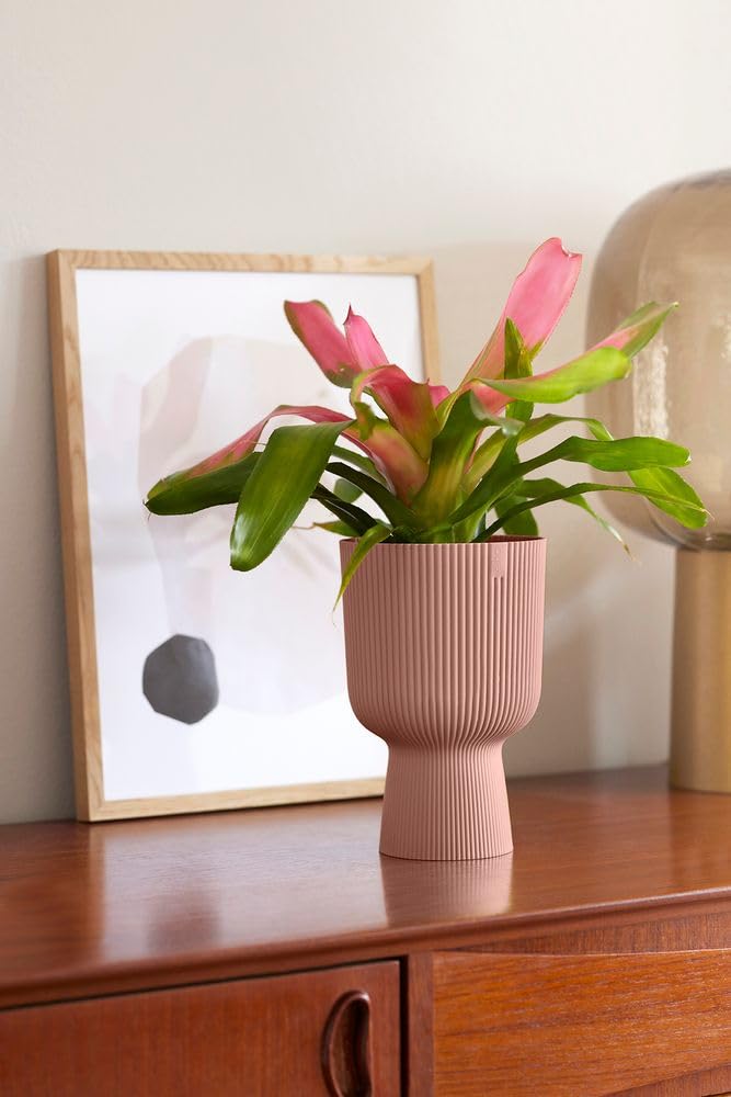 elho-vibes-fold-coupe-14-cm-rose-poudr image 6