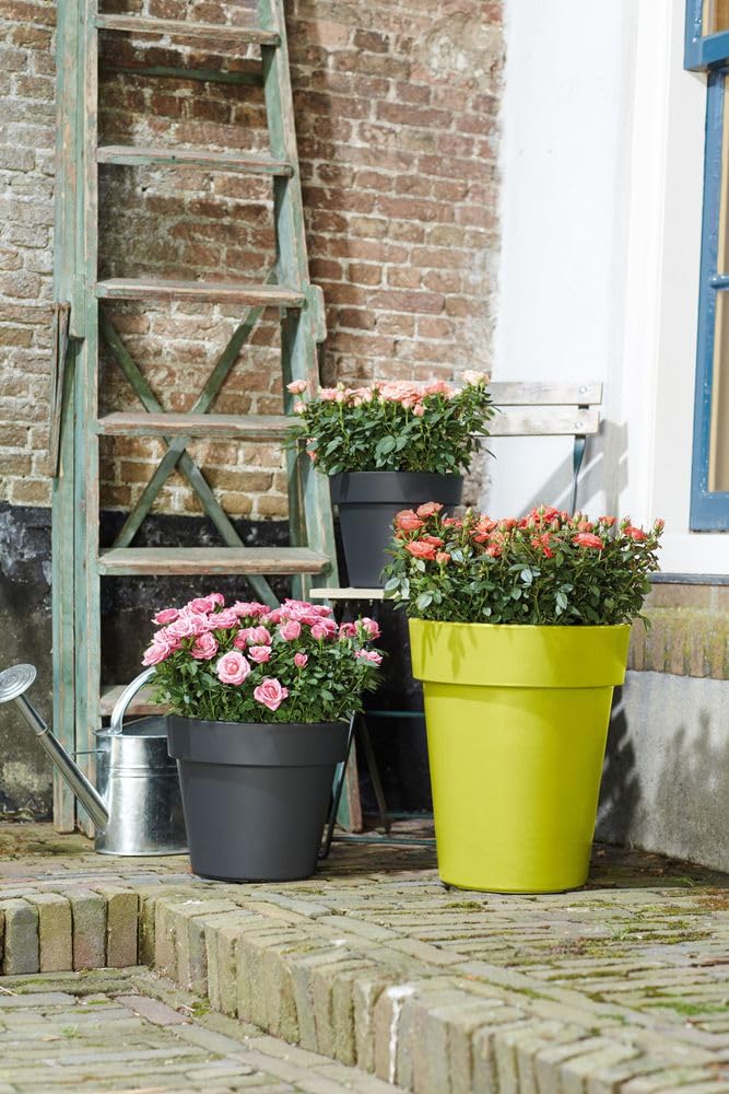 elho-green-basics-top-planter-haut-35-pot-34-5-x-h-41-cm-vert-lime image 5