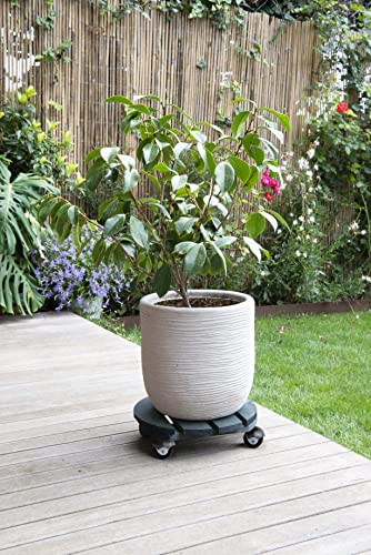 louis-moulin-basics-roule-plante-bois-rond-30-cm-anthracite image 5