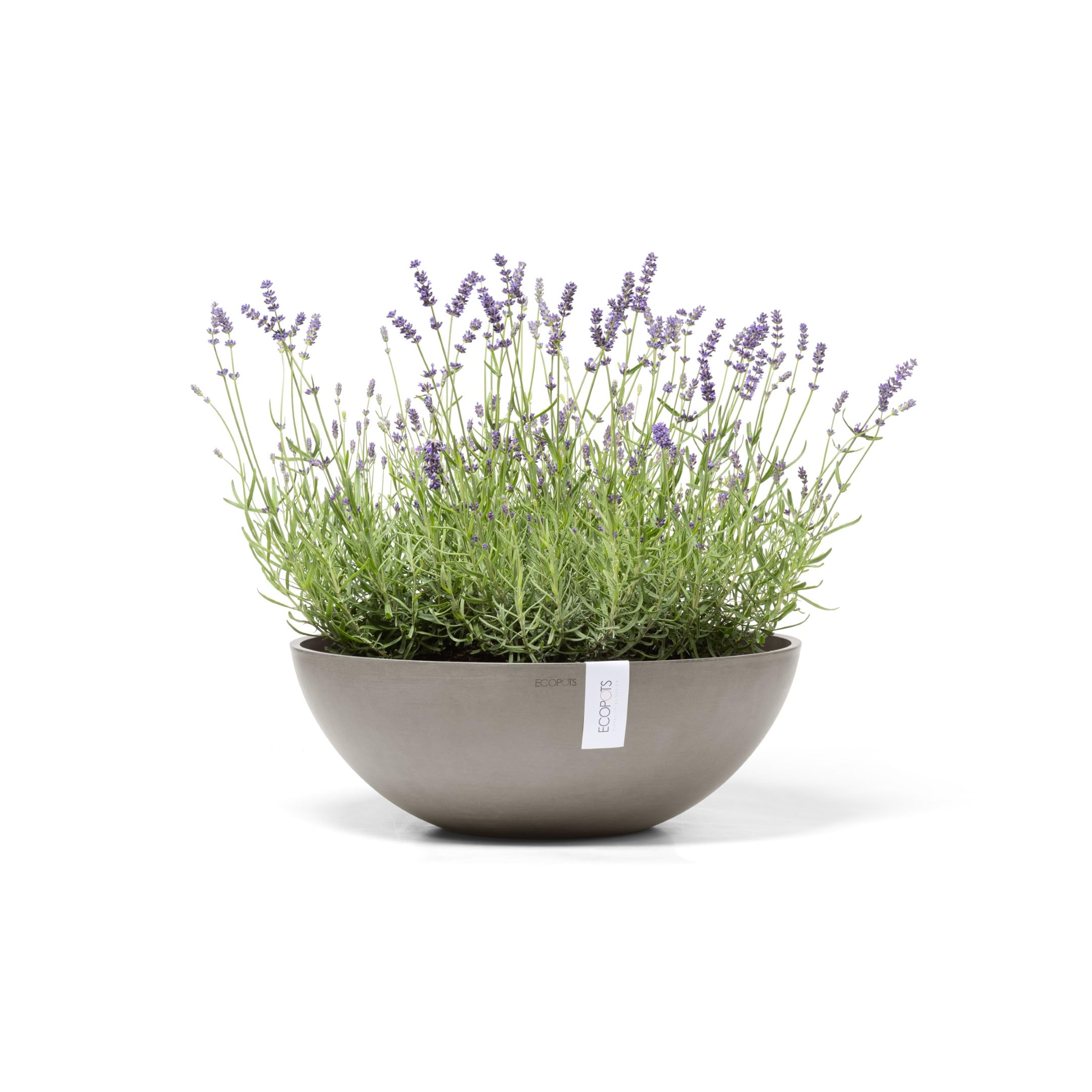 ecopots-vienna-50-pot-bas-taupe-50-x-h-18-cm-22-3-l image 2
