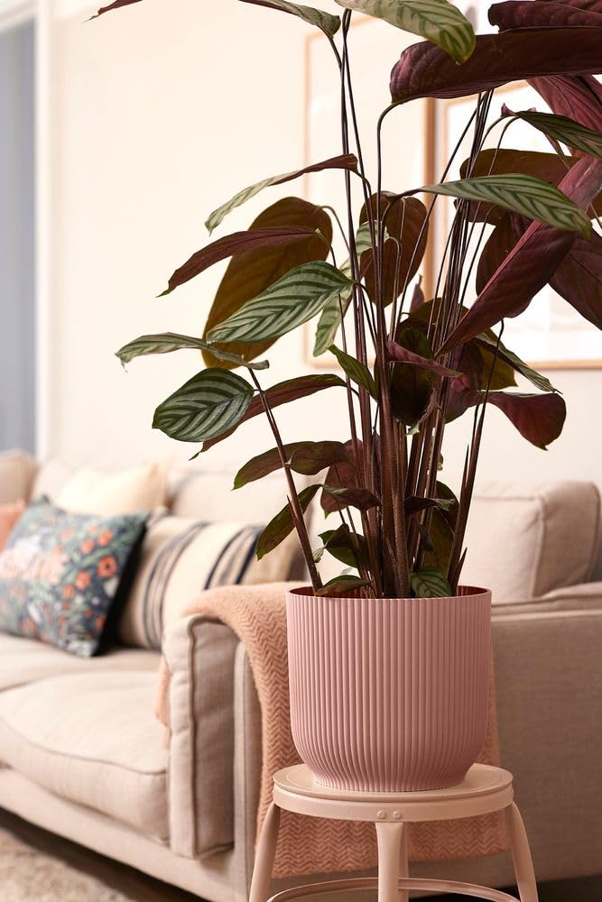 elho-vibes-fold-rond-35-cm-roues-pot-de-fleur-rose-poudr image 7