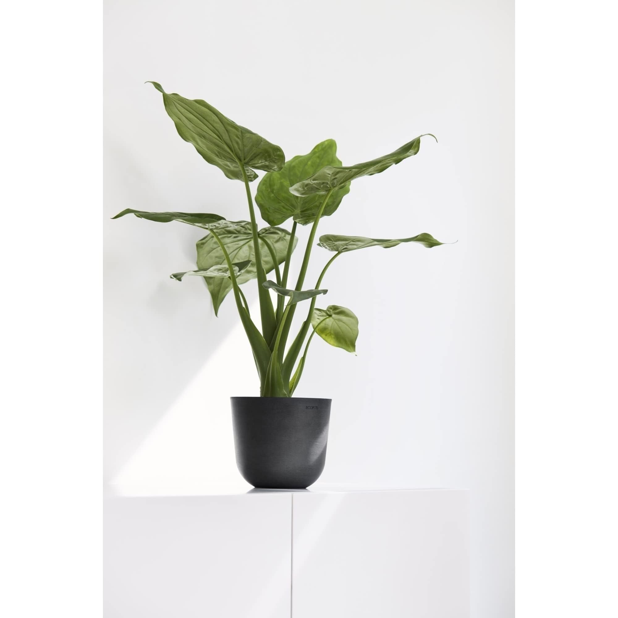 ecopots-pot-rond-oslo-55-gris-fonc-55-x-h-47-9-cm-85-6-l image 7