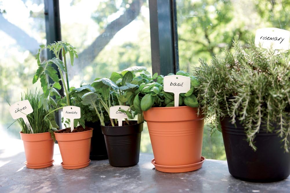 elho-green-basics-pot-de-culture-11-cm-mild-terra image 6