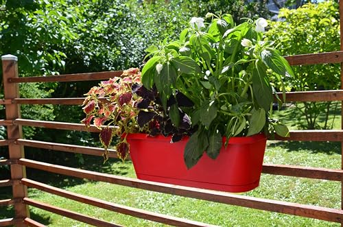 eda-jardini-re-chorus-50-cm-avec-r-serve-d-eau-support-invisible-9-4-l-rouge-rub image 4