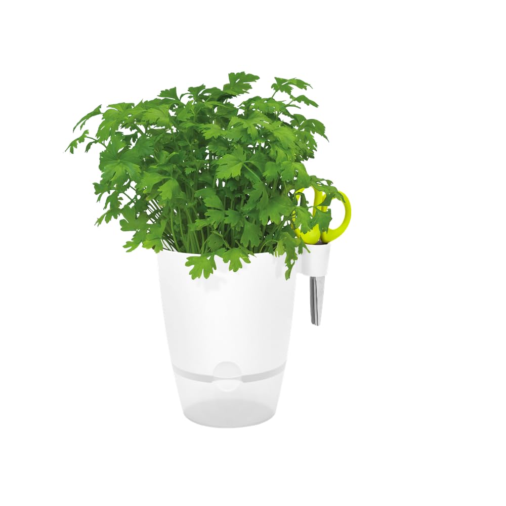 elho-brussels-all-in-1-pot-herbes-13-cm-blanc image 3