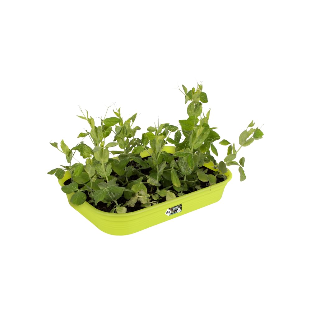 elho-green-basics-plateau-de-culture-36-36-0-x-h-6-3-cm-vert-lime image 3