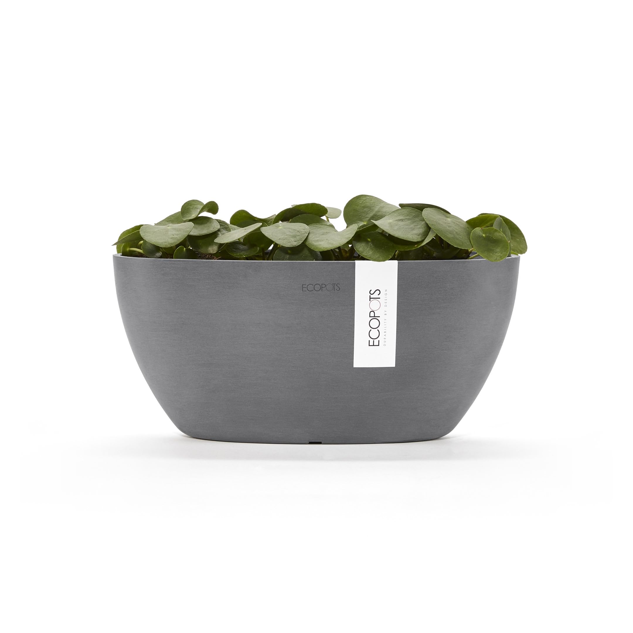 ecopots-sofia-pot-ovale-30-gris-avec-r-servoir-d-eau-30-x-13-x-h-13-5-cm-2-7-l image 4