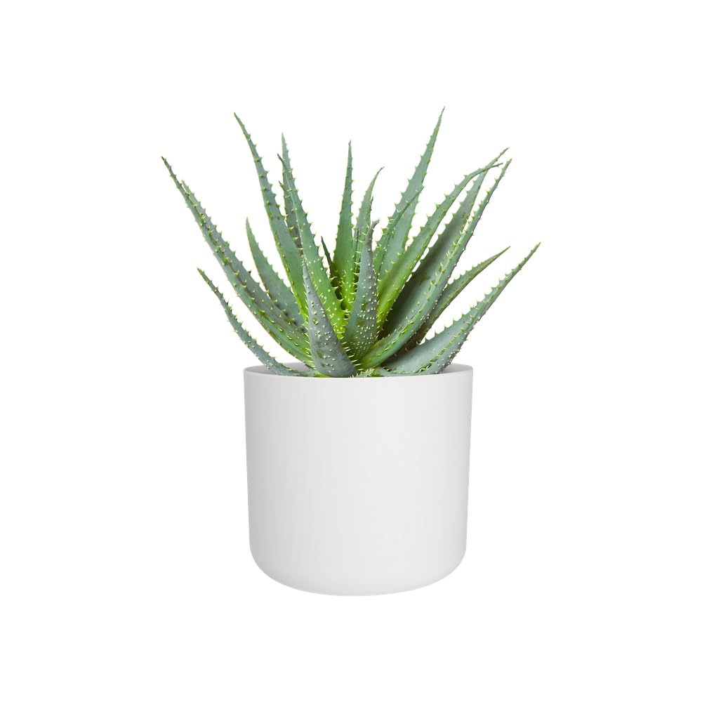 elho-b-for-soft-rond-14-cm-pot-de-fleur-rose-poudr image 7