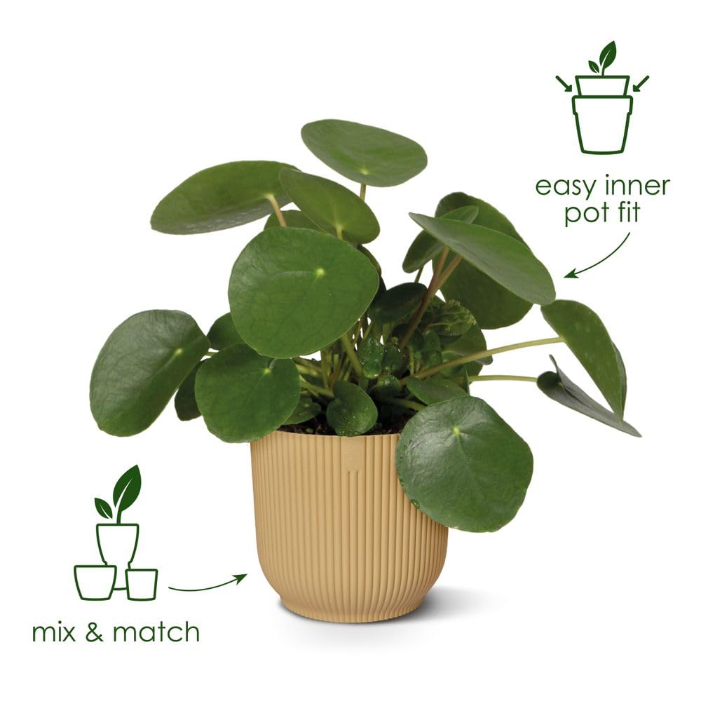 elho-vibes-fold-rond-35-cm-pot-de-fleur-vert-foug-re image 2