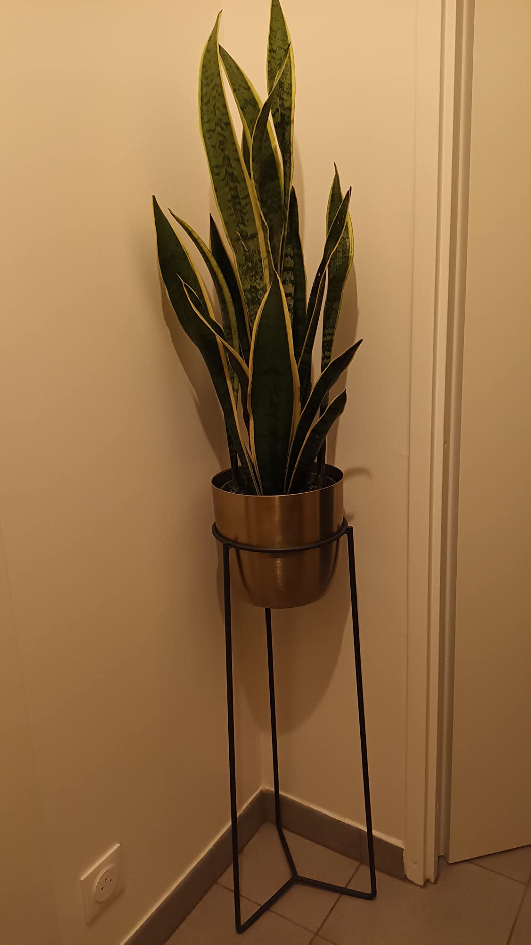 Très bel objet