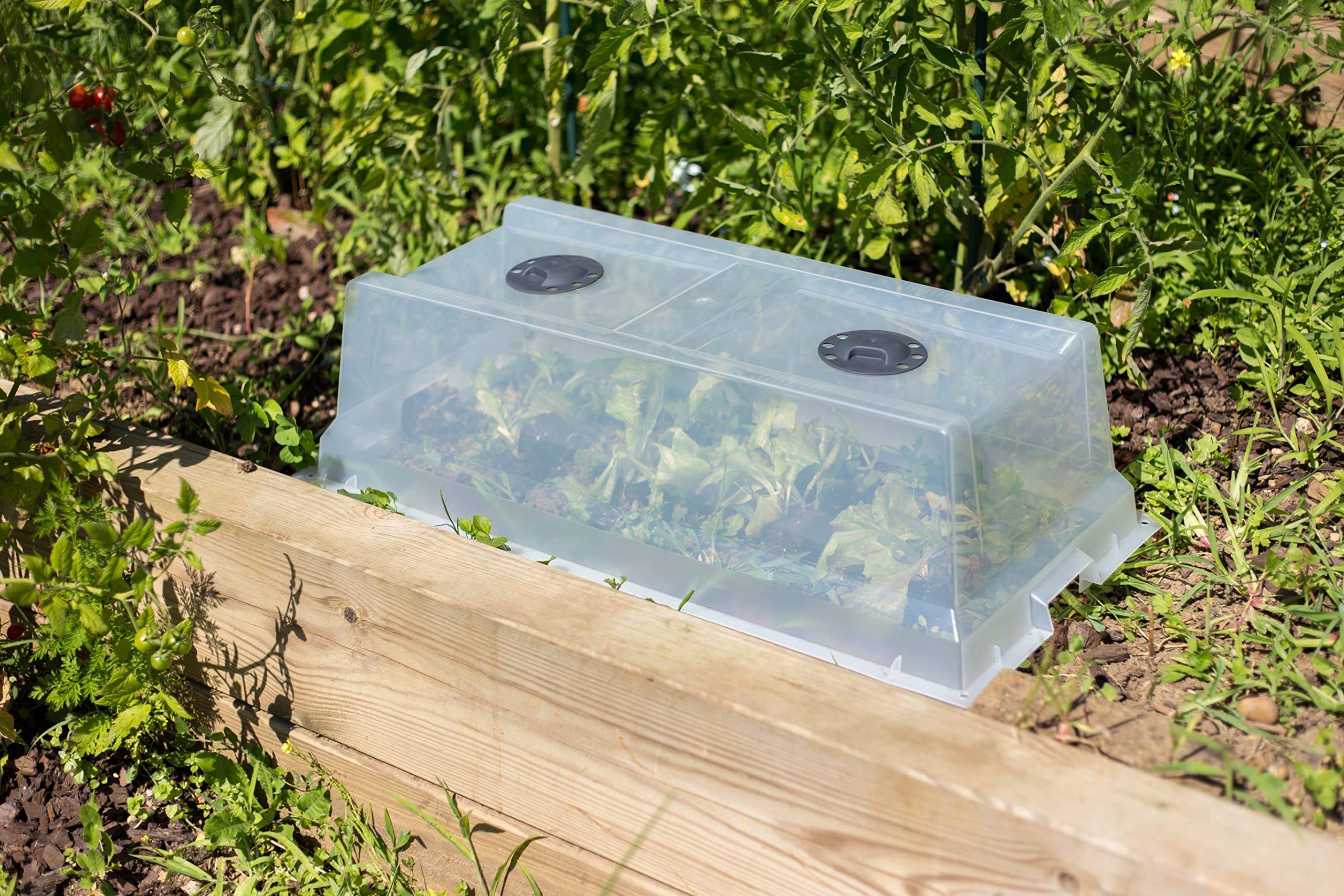 eda-serre-de-culture-pour-potager-veg-table-city-double-a-ration-transparent image 3