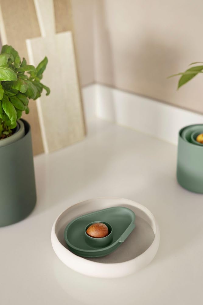 elho-amazing-avocado-floater-leaf-green-flotteur-germination-noyau-d-avocat image 6