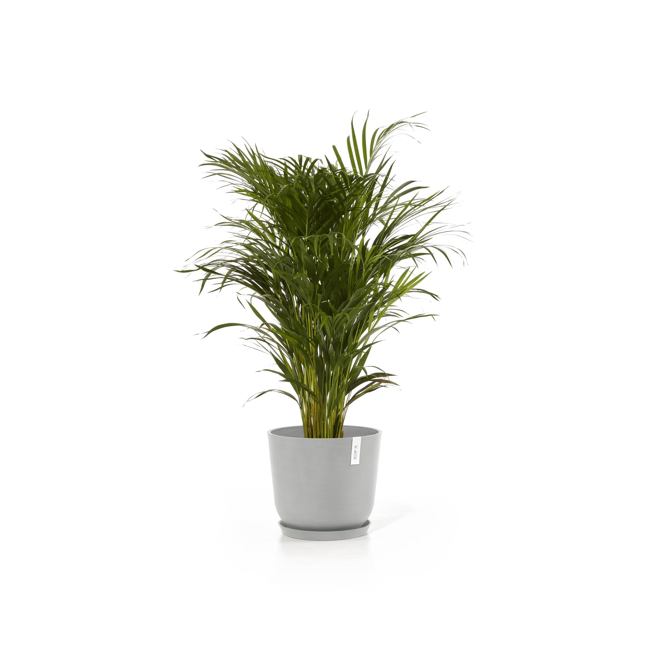 ecopots-oslo-35-pot-rond-blanc-gris-avec-r-servoir-d-eau-35-x-h-30-5-cm-21-7-l image 7