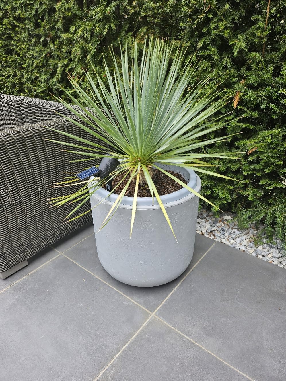 Magnifique en terrasse