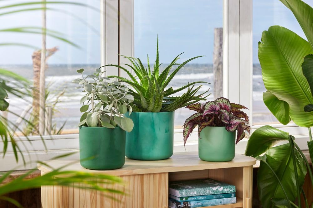 elho-the-ocean-collection-rond-14-cm-pot-de-fleur-vert-pacifique image 7