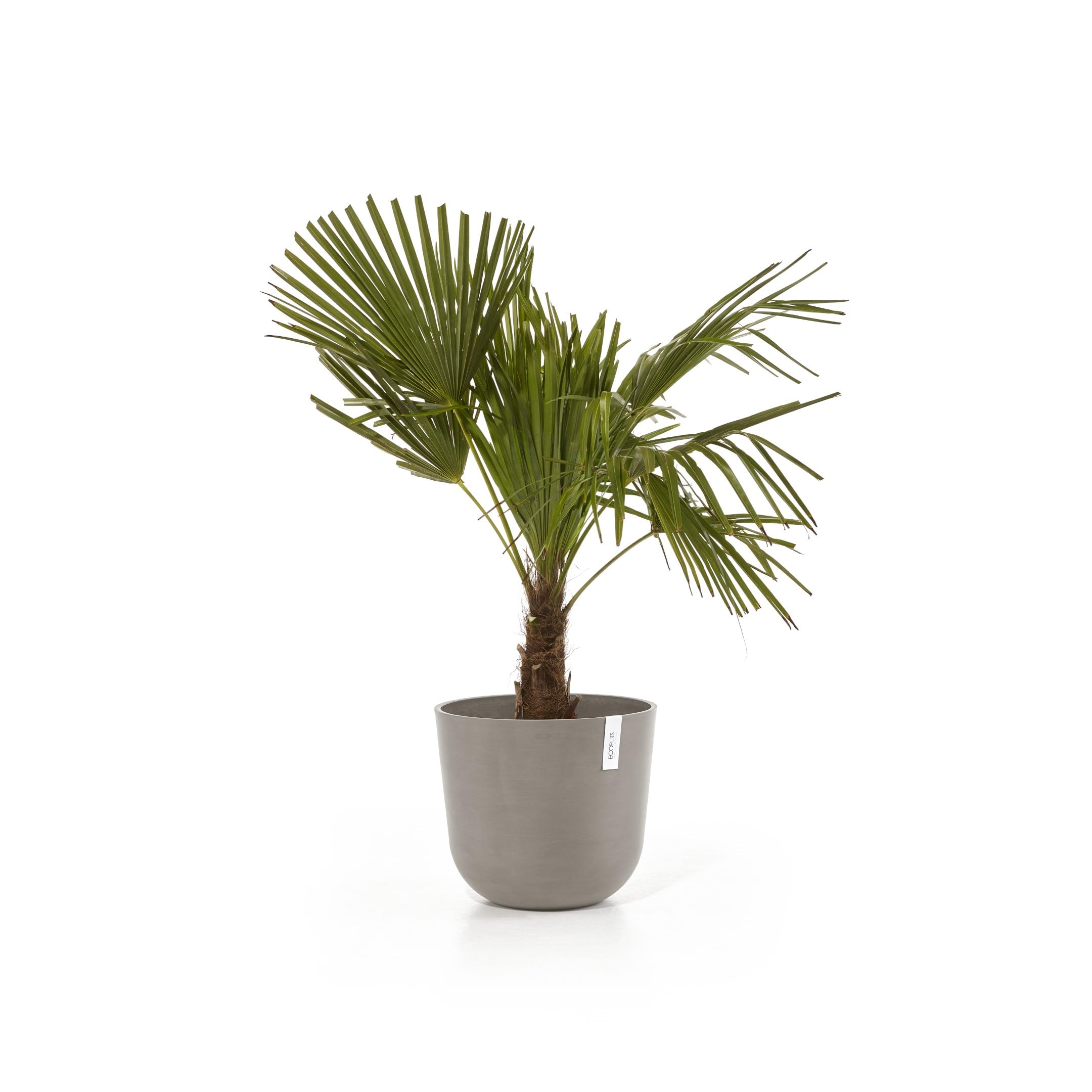 ecopots-oslo-pot-rond-35-cm-21-7-l-avec-r-servoir-d-eau-taupe image 4