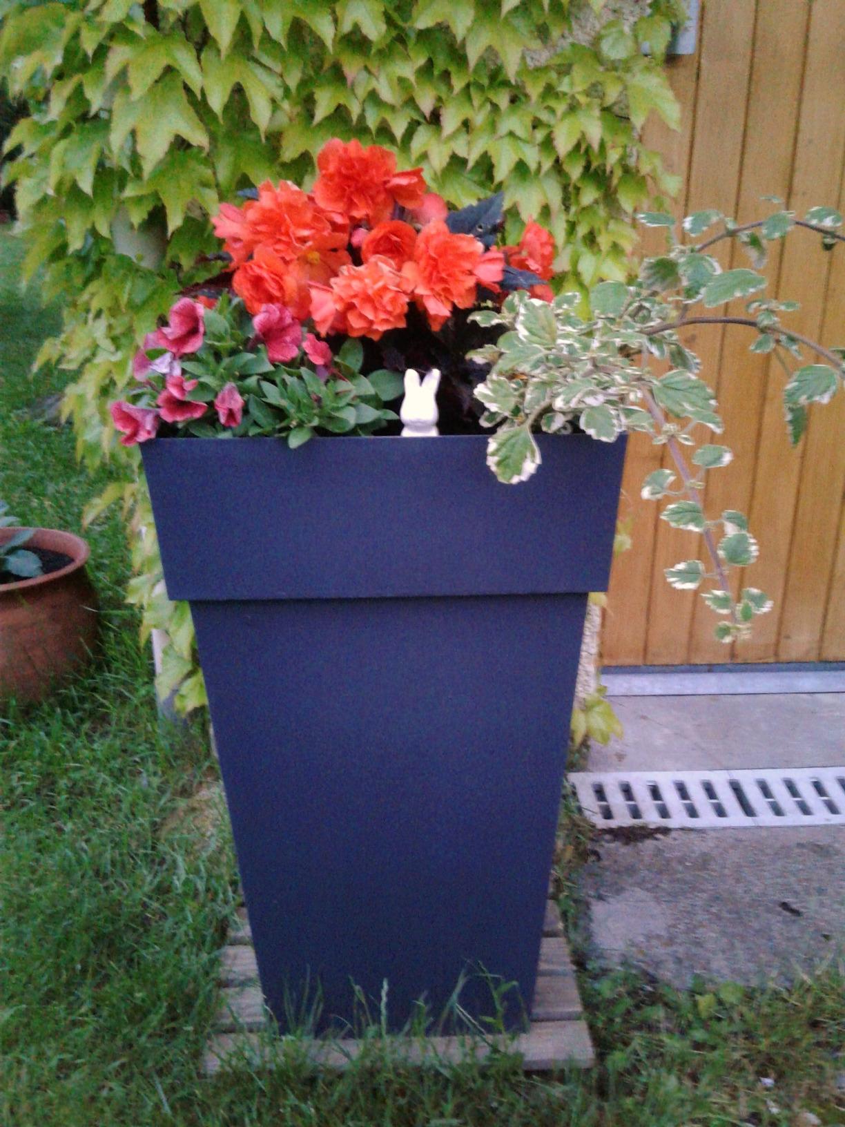 Parfait pour mes hortensias