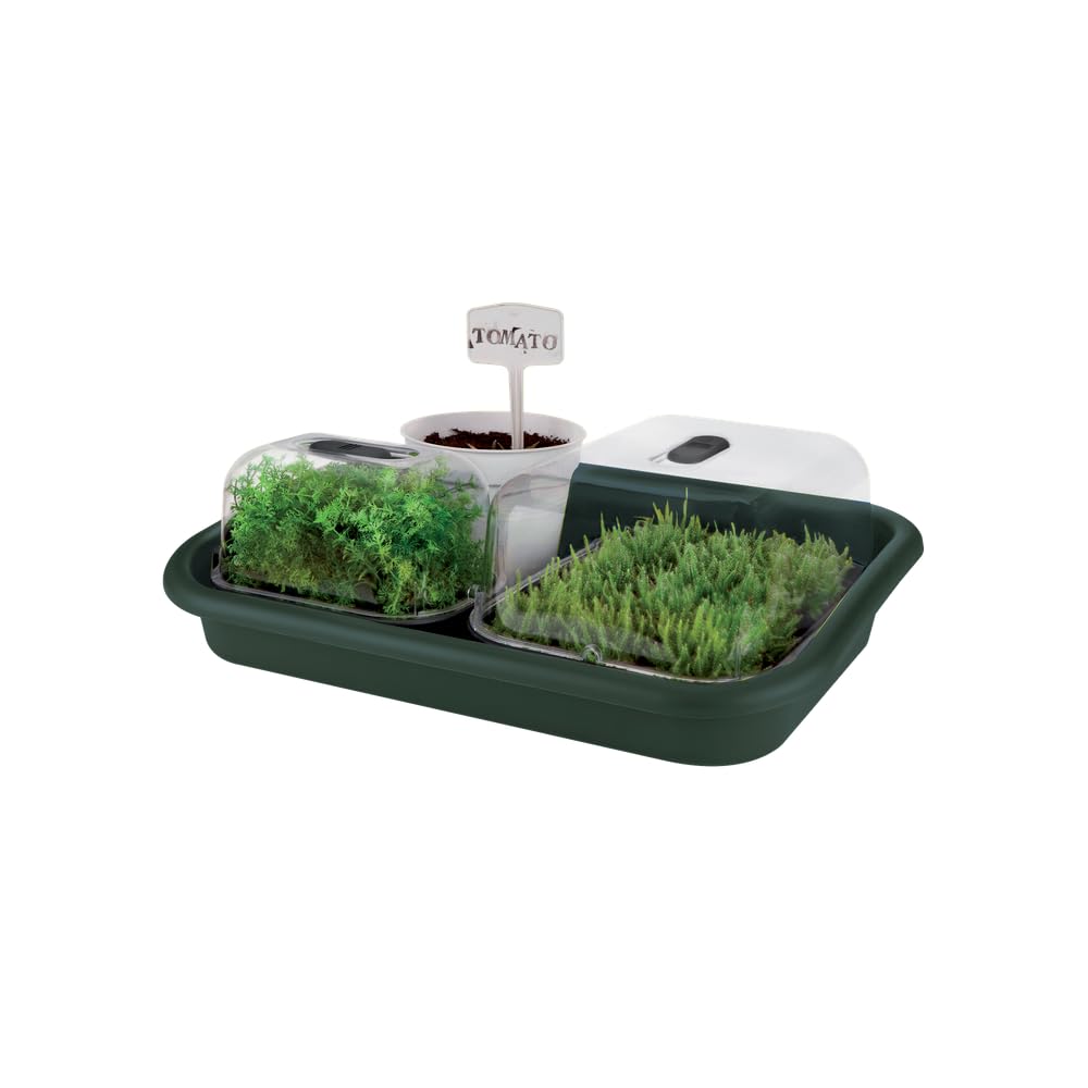 elho-green-basics-soucoupe-pour-plateau-de-culture-60-x-42-cm-vert image 5