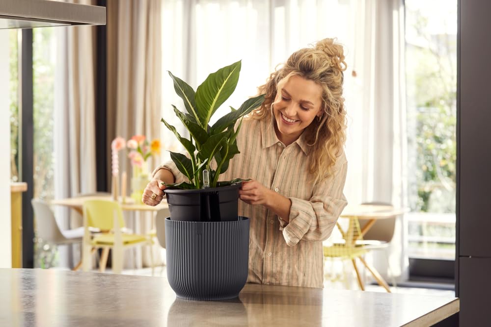 elho-vibes-fold-ronde-22-cm-avec-irrigation-pot-anthracite image 7