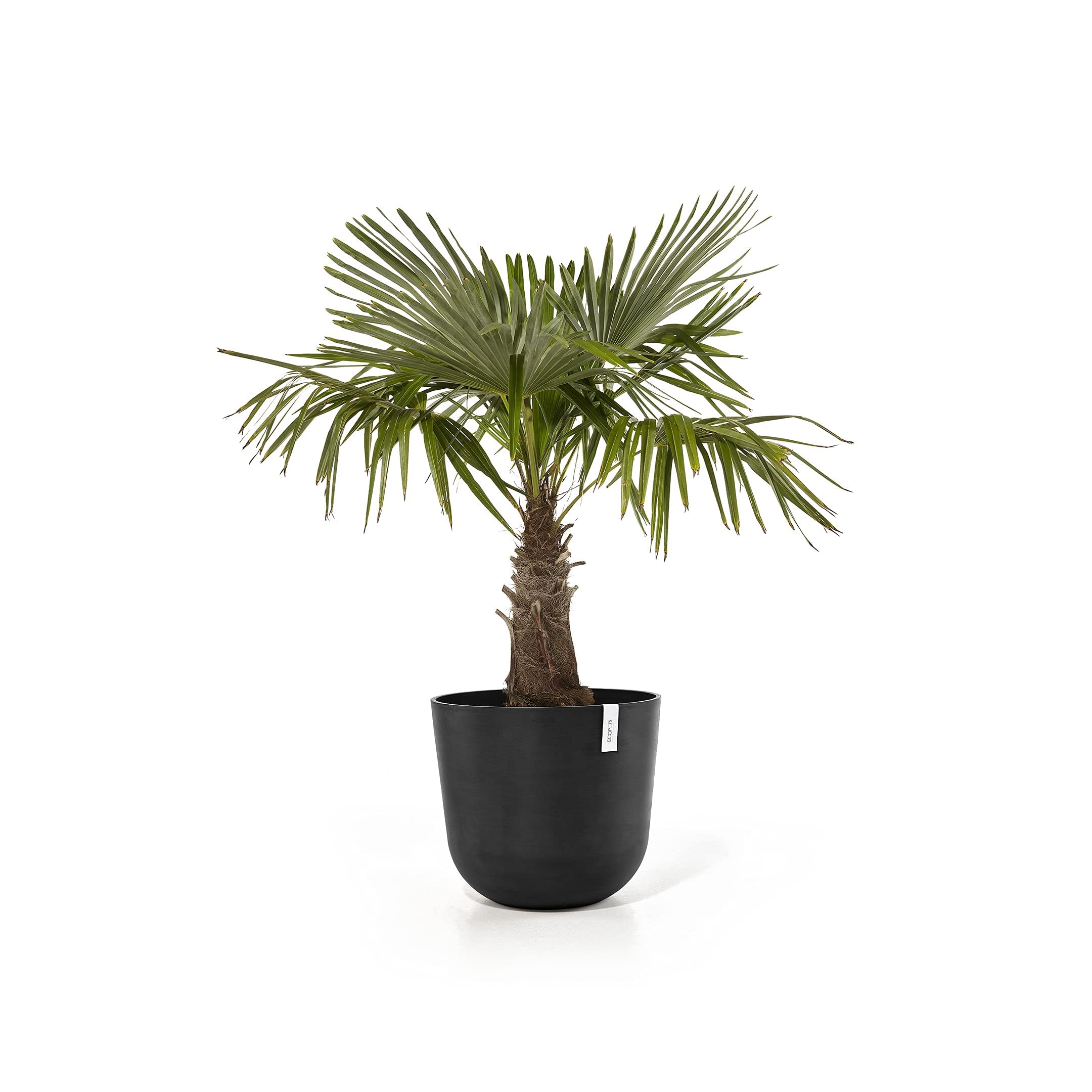 ecopots-pot-rond-oslo-55-gris-fonc-55-x-h-47-9-cm-85-6-l image 2