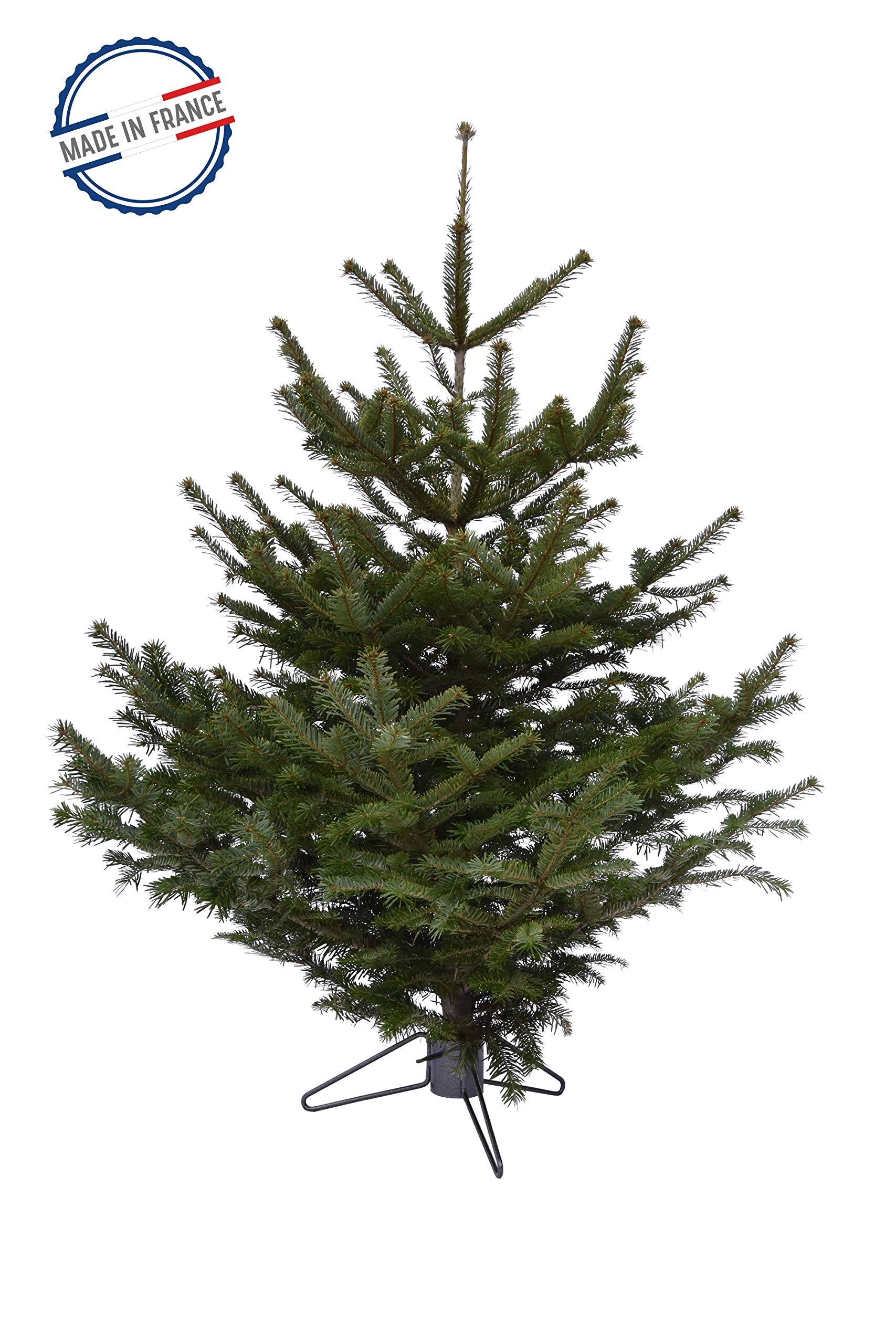 louis-moulin-pied-de-sapin-3-pieds-fil-tube-7-cm-anthracite image 3