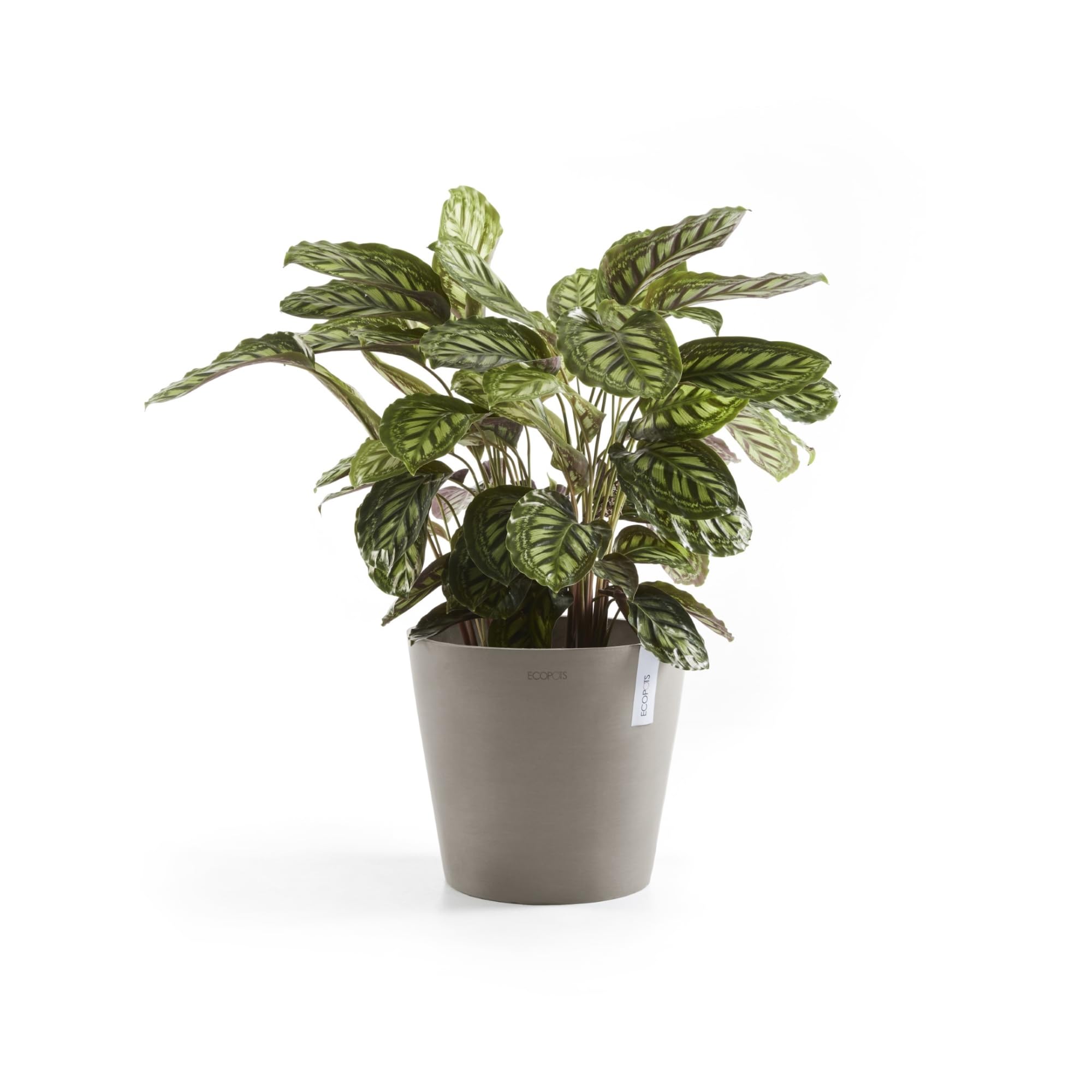 ecopots-amsterdam-25-pot-rond-9-7-l-taupe image 4
