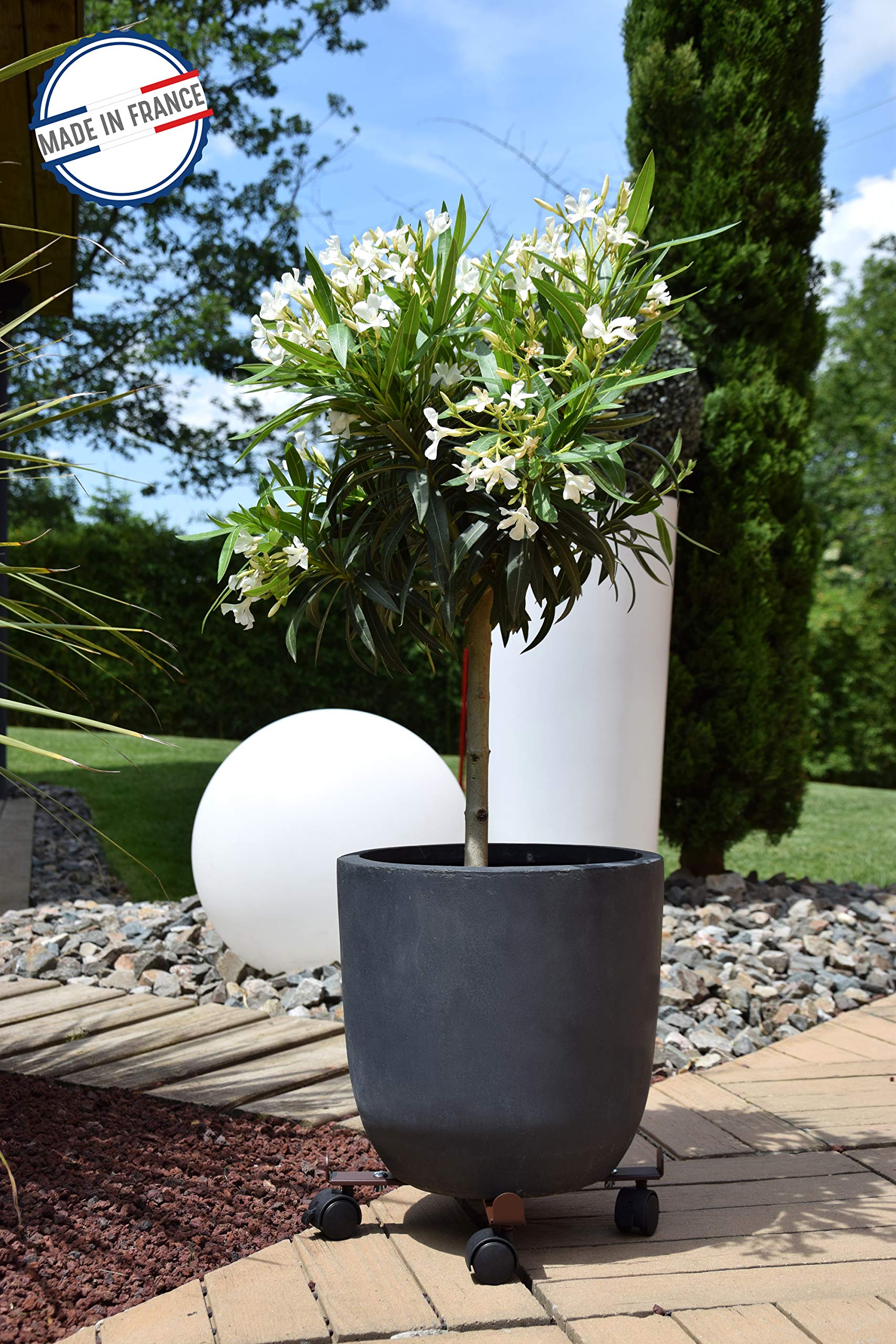louis-moulin-roule-plante-extensible-34-51-cm-fer-vieilli-made-in-france image 3