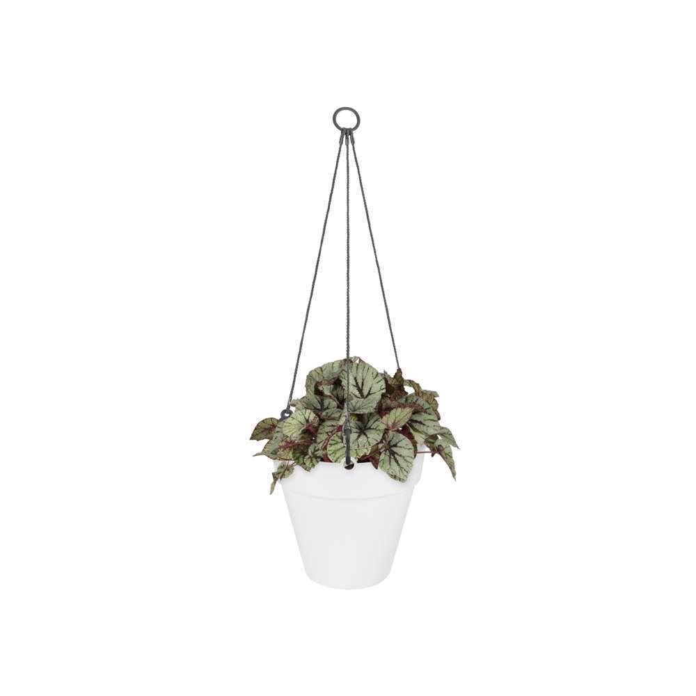 elho-loft-urban-suspension-20-pot-suspendu-19-5-x-h-19-cm-avec-corde-blanc-blanc image 3