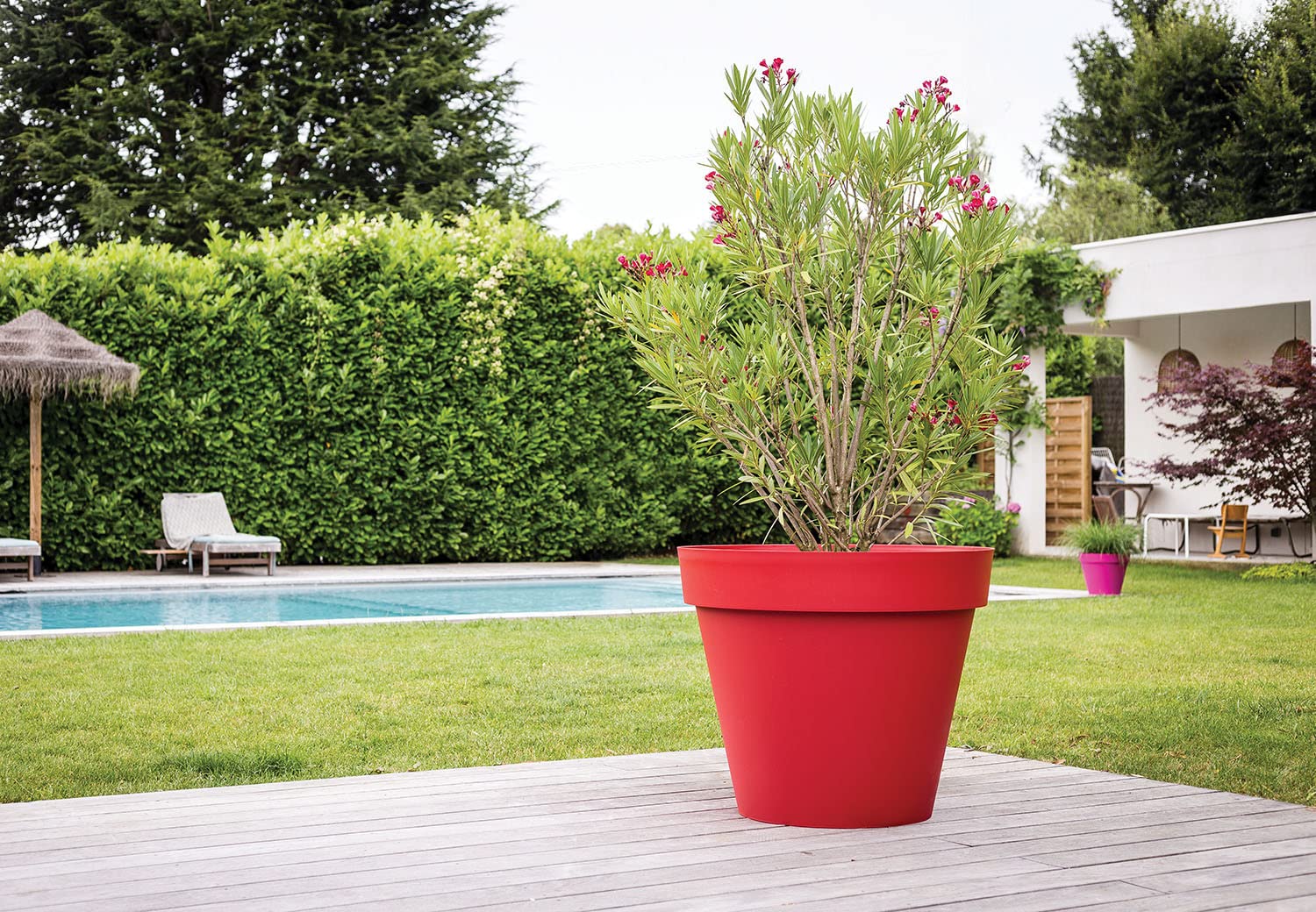 eda-pot-rond-toscane-100-cm-356-l-98-5-x-h-79-5-cm-rouge-rubis image 5