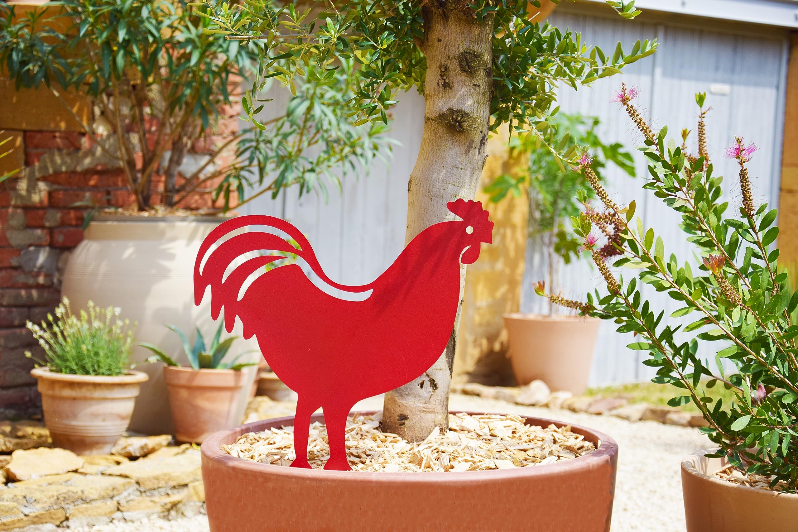 louis-moulin-figurine-piquer-coq-42-5x42-cm-rouge image 5