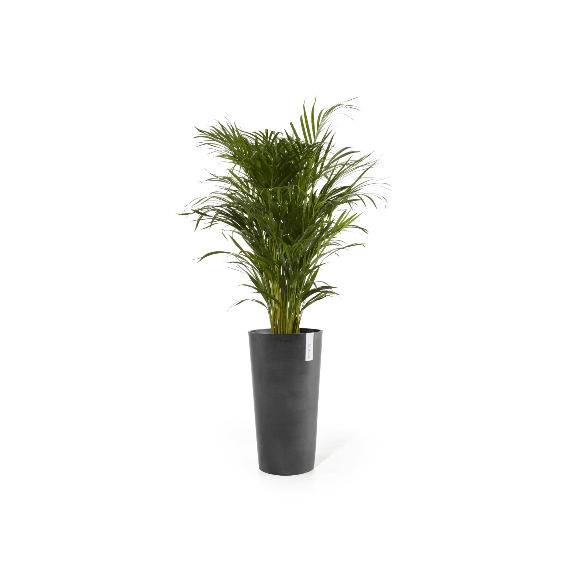 ecopots-pot-haut-amsterdam-66-gris-fonc-34-x-h-66-cm-35-6-l image 4