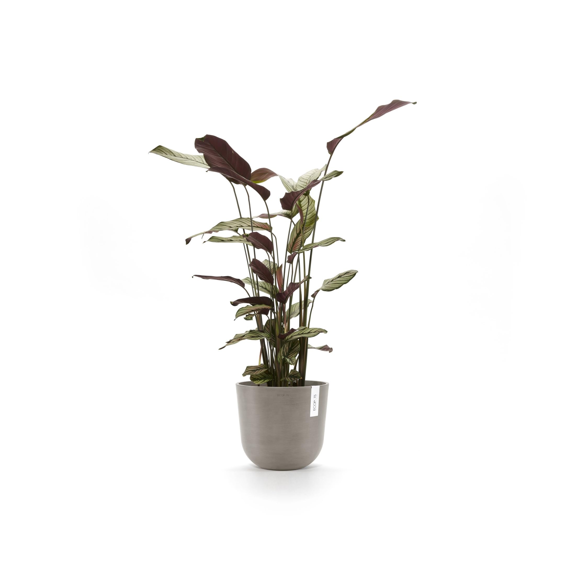 ecopots-pot-rond-oslo-25-taupe-avec-r-servoir-d-eau-7-7-l image 2