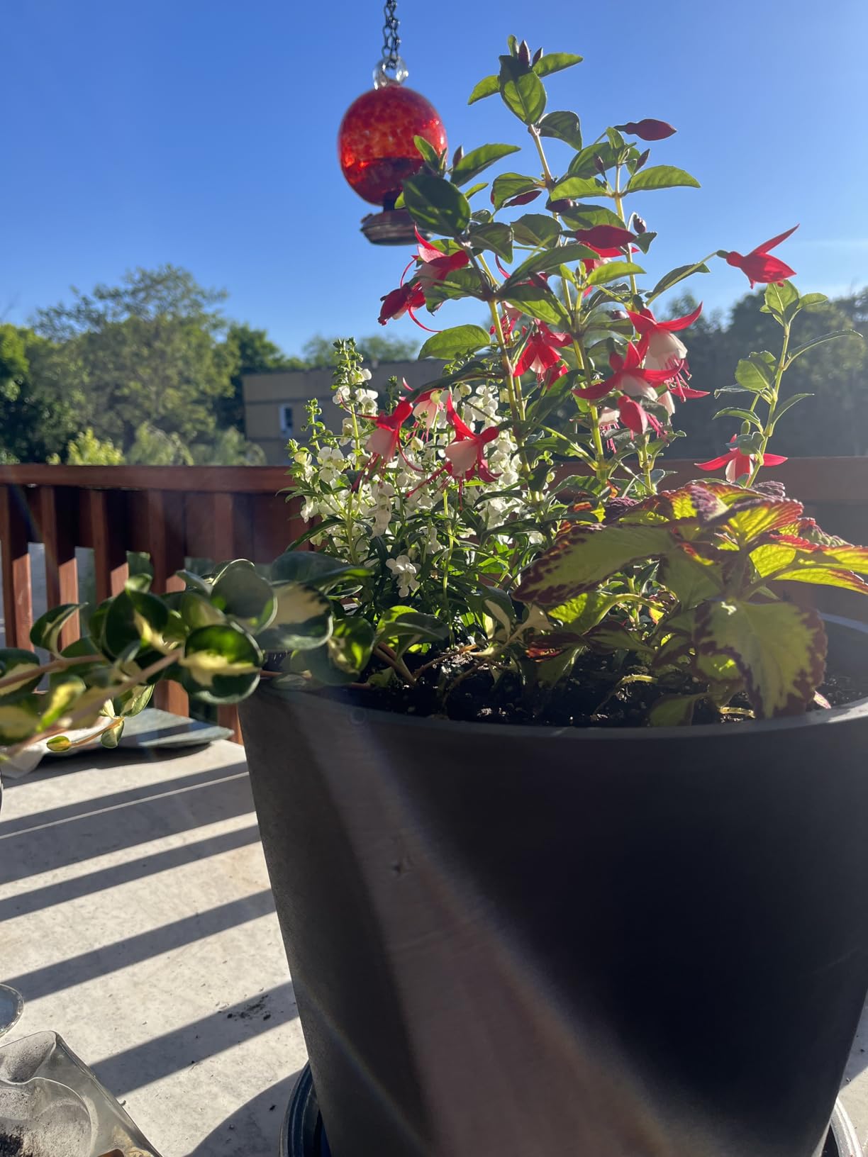 Magnifique pot écolo