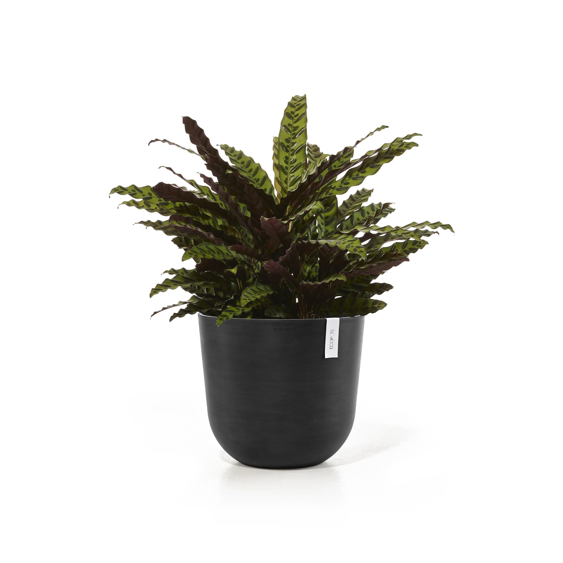 ecopots-pot-rond-oslo-45-gris-fonc-r-servoir-d-eau-45-x-h-39-2-cm-46-6-l image 3