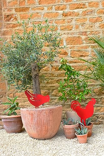 louis-moulin-figurine-piquer-poule-28x39-cm-rouge image 8